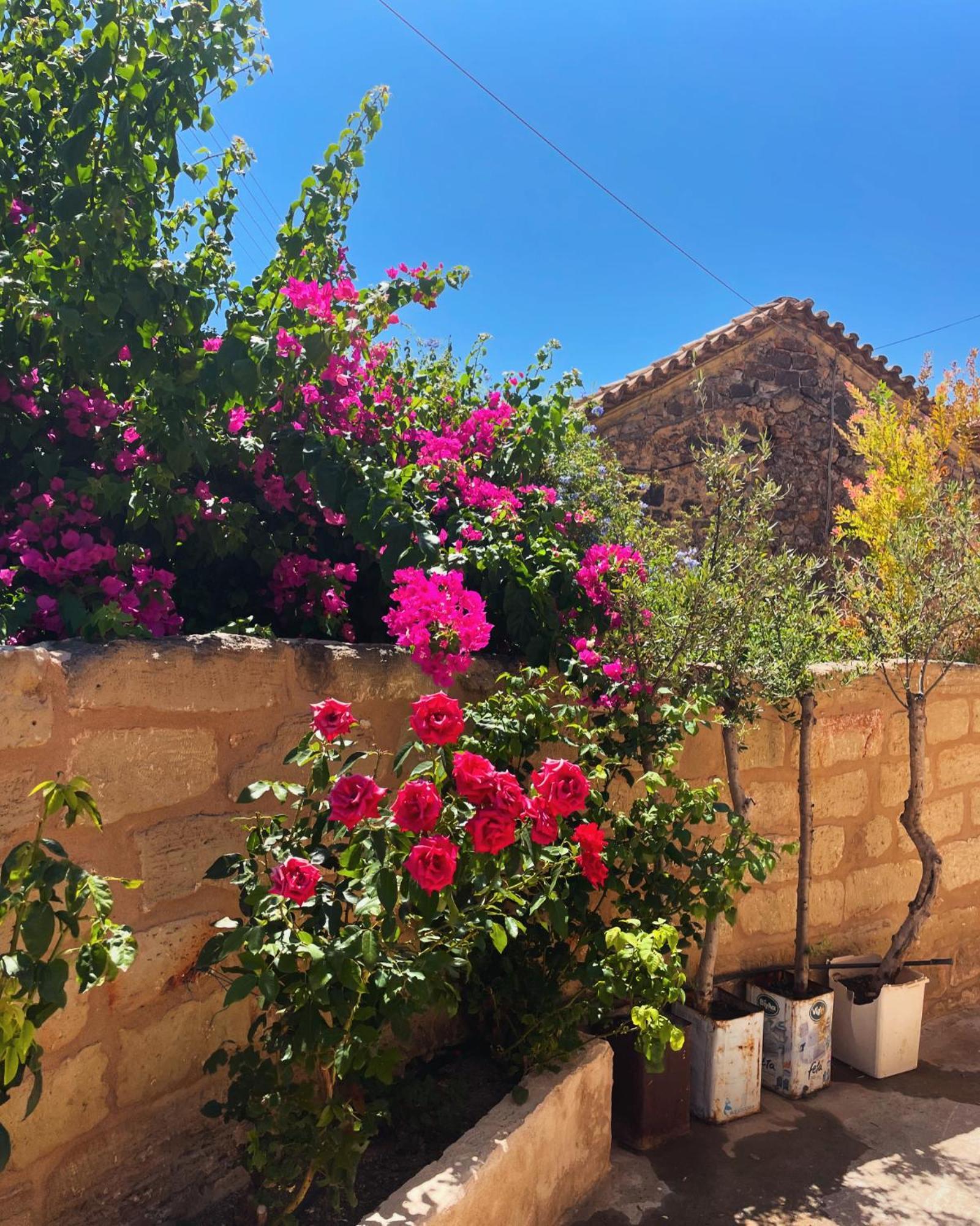 Pyrgos Fassea Kardamyli Villa Exteriör bild